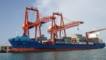 Port Progreso exports octopus to the European Union