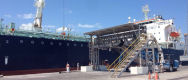 El Puerto de Progreso moviliza nueva carga