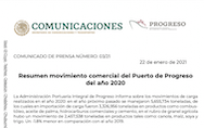 Resumen movimiento comercial del Puerto de Progreso del año 2020