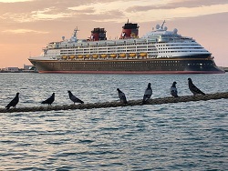 Crucero Disney Wonder concluye exitosamente remodelación en puerto Progreso.
